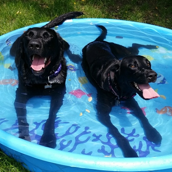 👻Model & closet info💫 - Picture 7 of 7